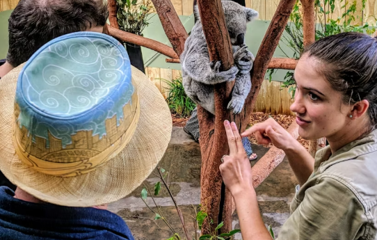 Wildlife, waterfalls and wine full day guided tour from Sydney